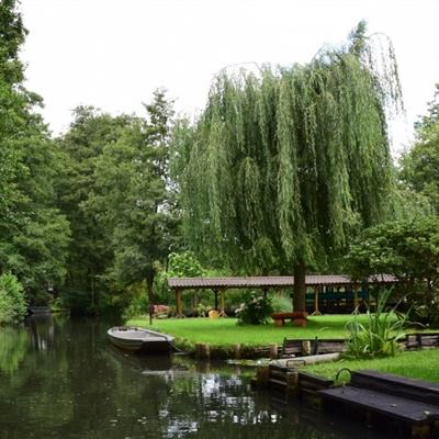 722cc彩票下载手机版