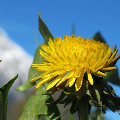 Kaiyun·体育(全站)